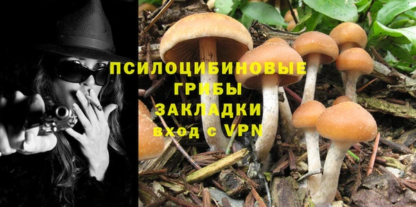 дурь Иноземцево
