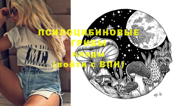 apvp Александровское