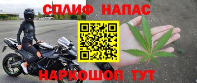 крисы Гагарин