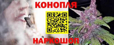 спиды Бийск
