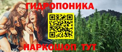 spice Берёзовский