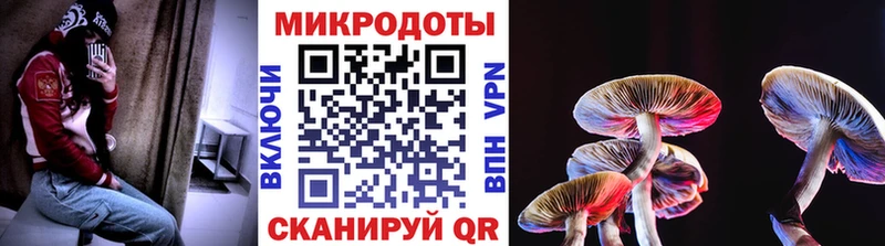 Галлюциногенные грибы Magic Shrooms  Дивногорск 