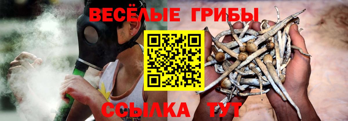 Галлюциногенные грибы мухоморы Дивногорск